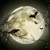 Prateek Rai - Facebook