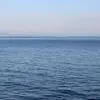 prateek_shah - @prateek_shah - TikTok