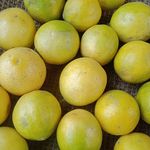 Pratima Saini - @pratimasaini73 - Instagram