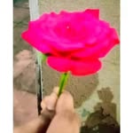 Pravati Das - @king_ka_queen_456 - Instagram