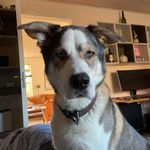 Preben Bonde - @bonde.preben - Instagram