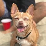 Precious Doobie Bonner - @preciousthecuteone - Instagram