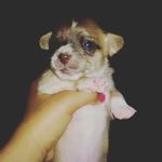 precious green - @preciousgreen1713 - Instagram