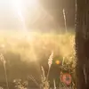 PreciousHarper691 - @preciousharper691 - TikTok