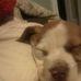 Precious Maddox - Facebook