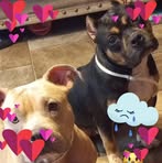 Precious Perry - Facebook