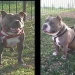 @tyson_precious - Instagram