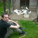 Predrag Blagojevic - @predrag980 - Instagram