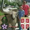 Predrag Jovanovic - @predragjovanovic12 - TikTok