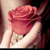 Preet tyagi - @tyagipreet04 - TikTok