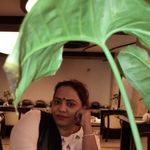 Preethi Nair - @preethi.nair - Instagram