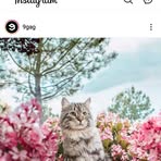 Preethi Rai - Facebook