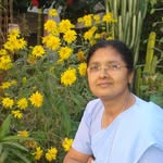 Preethi Thomas - @preethi.thomas.568 - Instagram