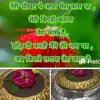 Preeti Manish dixit - @user67788882226163 - TikTok