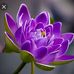 Prem Nath - Facebook