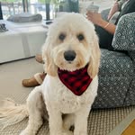 Premal Desai - @premald75 - Instagram