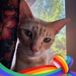 Prentiss E Smithson🏳️‍🌈 - @smithsonprentiss - Instagram