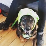 matthew prescott-jones - @matthewprescottjones - Instagram