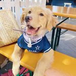 Prescott Wilson - @prescott_rayne_wilson - Instagram