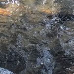 presley davis - @presleydavis97 - Instagram