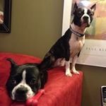 Brenda Presley Nicholson - @brendafoe - Instagram