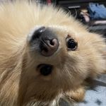 Abraham Martínez Aguayo - @abraham_bradshaw_preston - Instagram