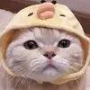 Prestonange - @prestonange - TikTok