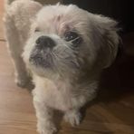 Preston Barlow - Facebook
