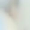 Preston Booth - @preston.booth - TikTok
