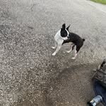 Preston boyer - @prestonboyer28 - Instagram
