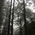 Preston Browning - Facebook