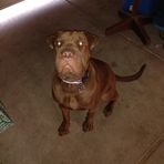 Preston Chavez - Facebook