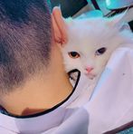 Preston Chen - Facebook