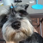 Preston - @preston_cochran2006 - Instagram