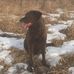 Preston Duff - Facebook