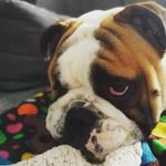preston_duffy - @preston_duffy - Instagram