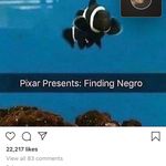 Preston Ferrell - @ywr_pure69 - Instagram