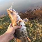 Preston Harmon - @pharmon_17 - Instagram