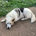 Preston Harmon - @pharmon_2 - Instagram