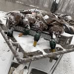 @preston_hatch07 - Instagram