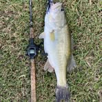 Preston Hearn - Facebook