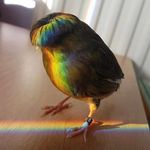 Preston Hendrix - @what_what_247 - Instagram