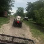 Preston Hooks - Facebook