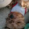 prestonhooks - @prestonhooks - TikTok
