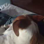 Preston Jamison - @jamisonpreston75 - Instagram
