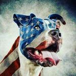Preston Kelley - @prestonkelley01 - Instagram