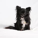 Preston Kerran - @prestonkerranphotography - Instagram