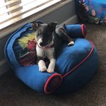Preston Lawrence - @prestonlawrence70 - Instagram