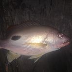 Preston Luckman - Facebook