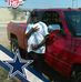 Preston Mackey - Facebook